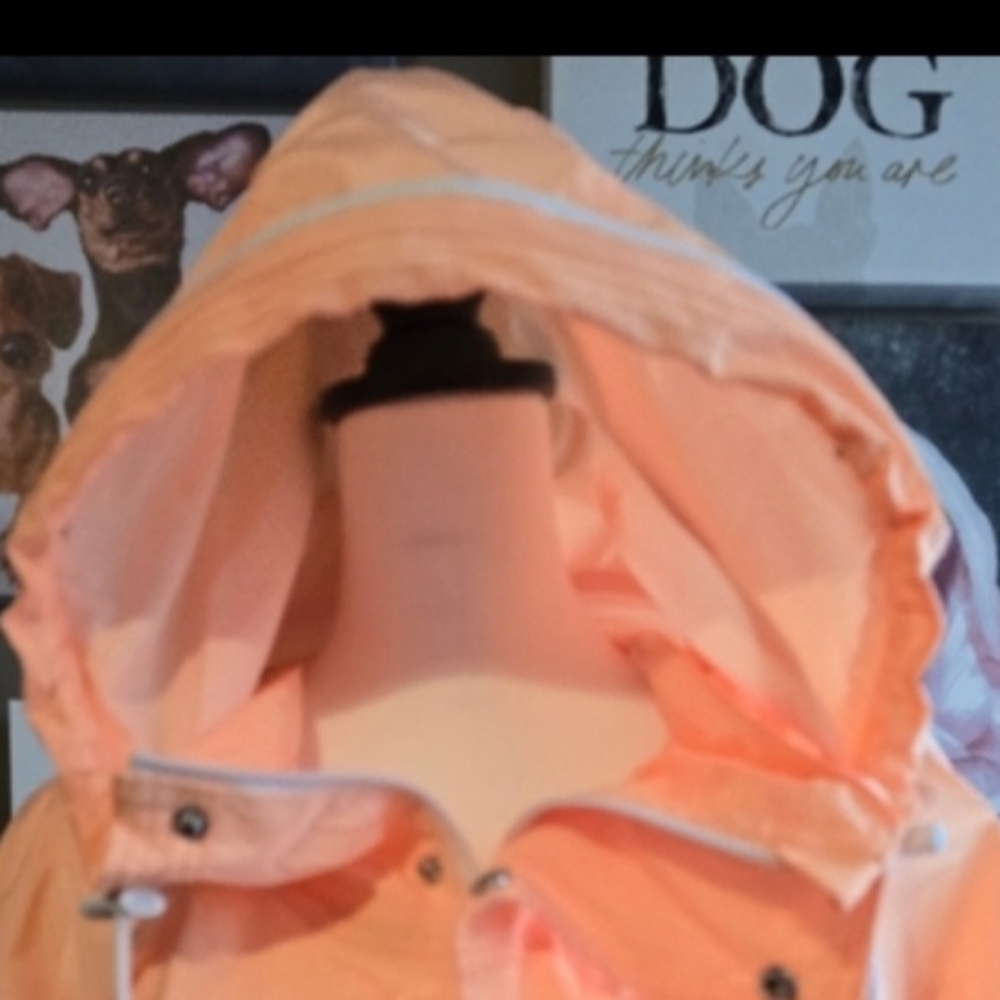 NWOT Free People Rise & Shine Jacket - Picture 6 of 10